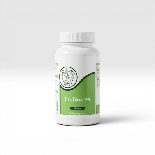 Echinacea
