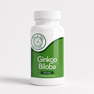 Ginkgo Biloba