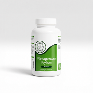 Plantago Ovata Psyllium