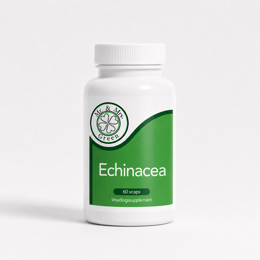 Echinacea