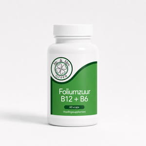 Actief B6, B12 & Foliumzuur