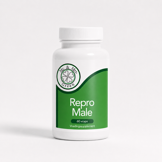 Repro Male