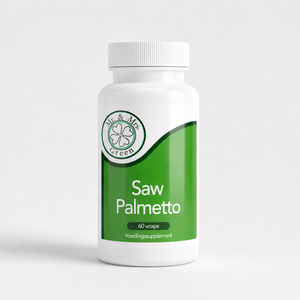 Saw Palmetto